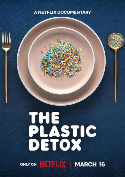 Plastik Detoksu